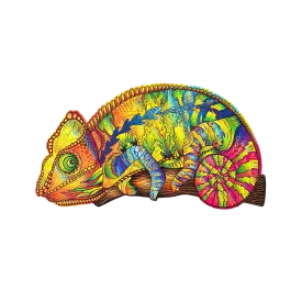 Colorful Chameleon