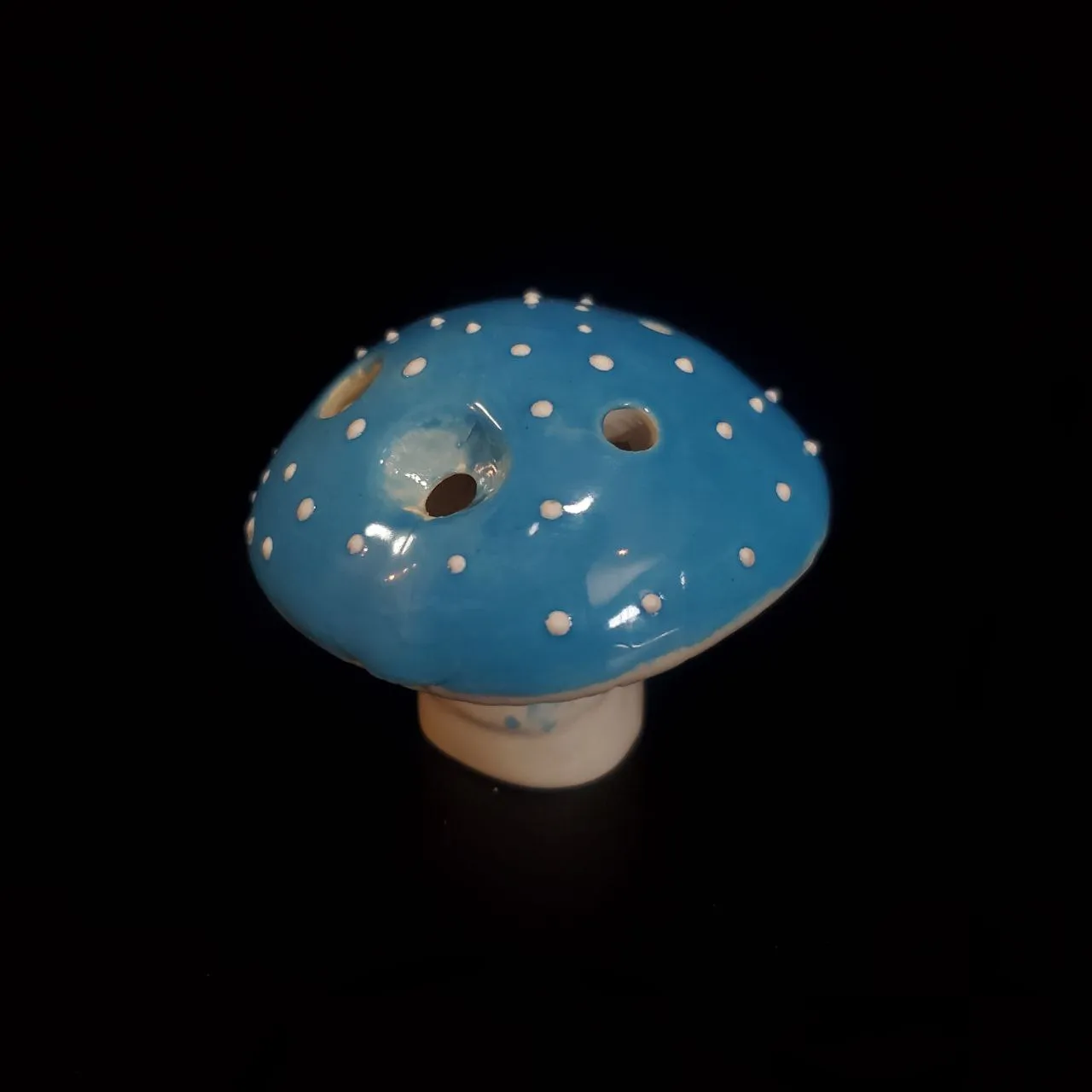 Mushroom in Unique Glazes